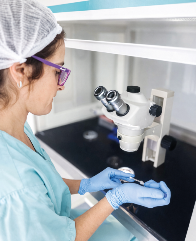 FECUNDACIÓN IN VITRO Image description